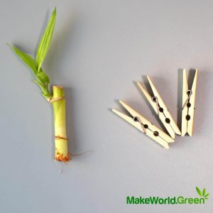 Natural Bamboo Pegs