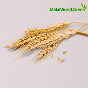 Grow Green
